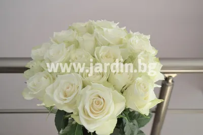 Розы на свадебной фотосессии - изображение среднего размера, webp формат