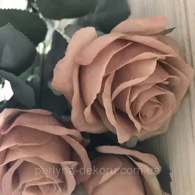 Фото роз с утренней росой - малый размер, webp формат