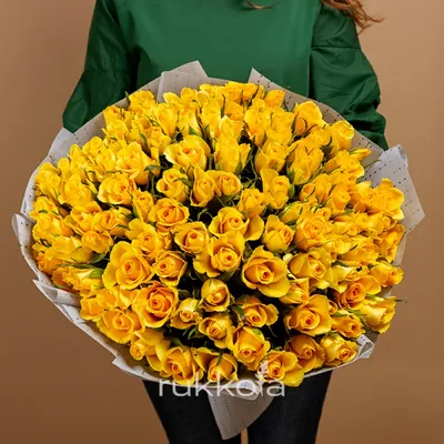 Фото 100 роз в разных форматах для загрузки и использования