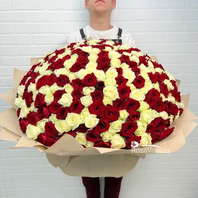Невероятные картинки роз с возможностью выбора размера и формата