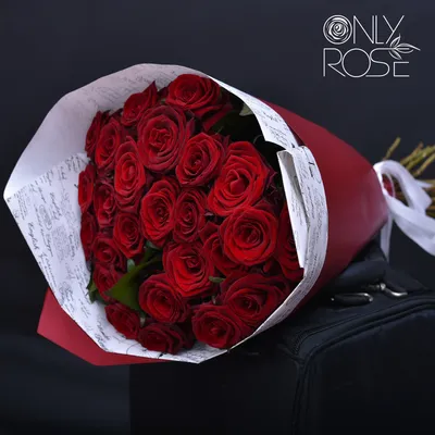 Удивительные фото роз с широким выбором размеров и форматов