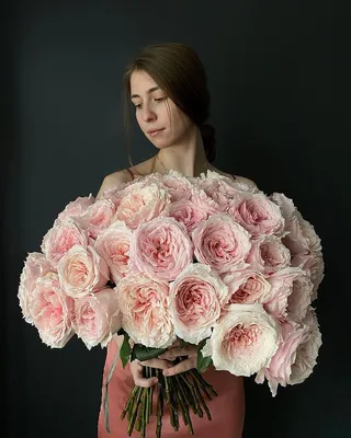 Розовое великолепие: 10001 роза в разных размерах