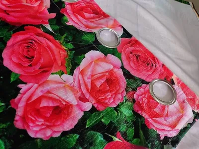 Фотографии прекрасных роз: 10001 фотография для скачивания