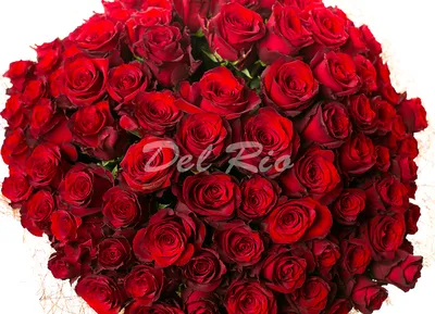 Впечатляющая красота: 10001 роза на ваш выбор