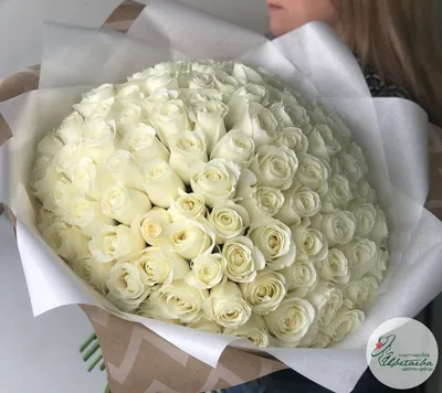 101 белая роза в формате jpg - маленький размер