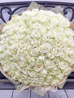 Изображение 101 белой розы в формате png - средний размер
