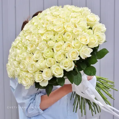 Фотография 101 белых роз в нежном букете
