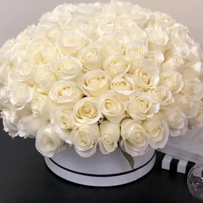 Фото роскошного ароматного букета из 101 белой розы