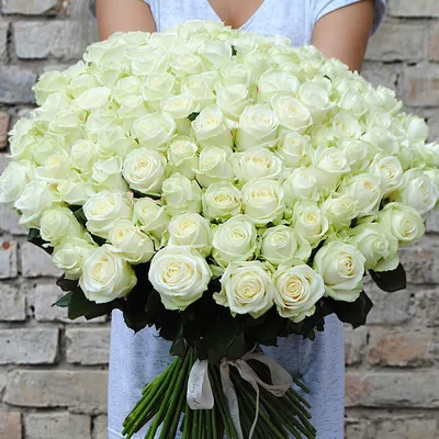 Фотка 101 белой розы с яркими лепестками