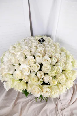 Фотография 101 белой розы с отражением в воде