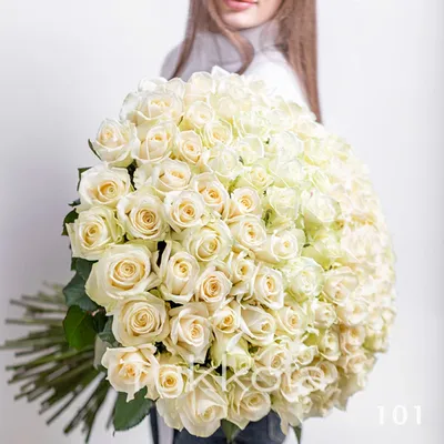 Фотография 101 белой розы в формате webp - большой размер