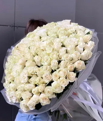 Изображение 101 белой розы в формате png - с высоким разрешением