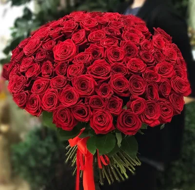 Фантастические фотографии красных роз