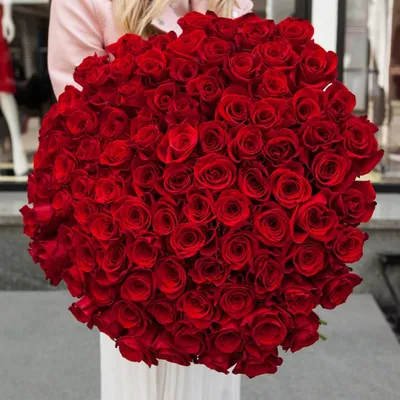 Фотка красной розы в разных размерах и форматах на сайте