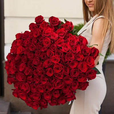 Удивительные фото красных роз