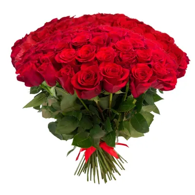 Великолепные красные розы на сайте