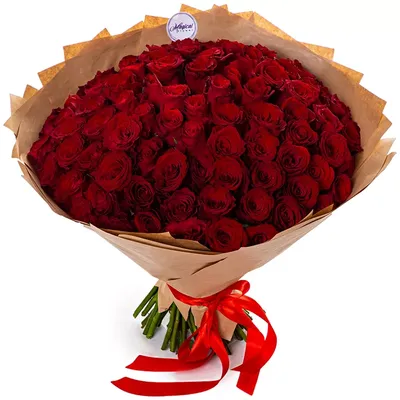 Прекрасные фото красных роз на сайте