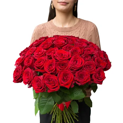 Великолепные фотки красных роз для скачивания