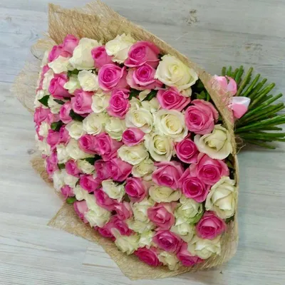 Красивая фотография 101 розы 50 см на веб-сайте