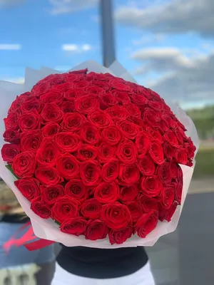 Удивительные фото розы 60 см