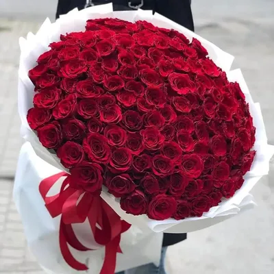 Великолепные 101 роза 70 см - фотография в png формате
