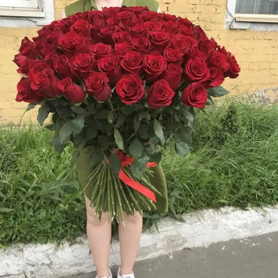 Удивительные 101 роза 70 см - красивая фотография в png формате