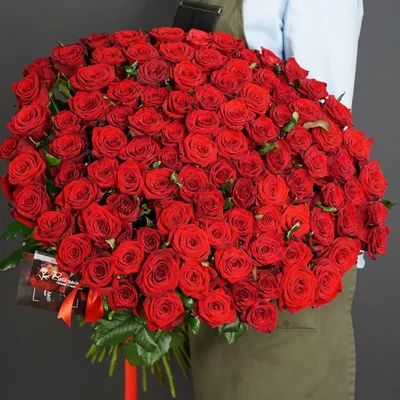 Фото розы в формате jpg - 101 штука, каждая 70 см