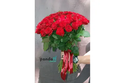 101 роза 70 см на фото - доступна в png формате