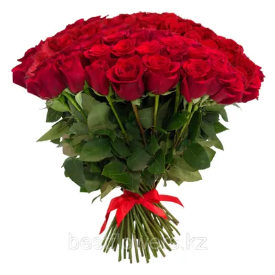 Букет из 101 розы 70 см - изображение высокого качества в jpg формате