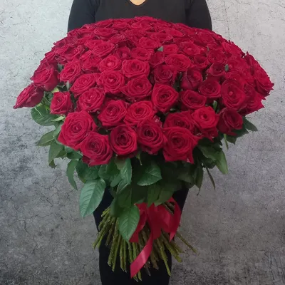 Фотография букета из 101 розы 70 см - скачать в png