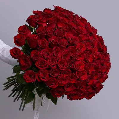 Вас ждет 101 роза дома: самые изысканные фото их прекрасных оттенков