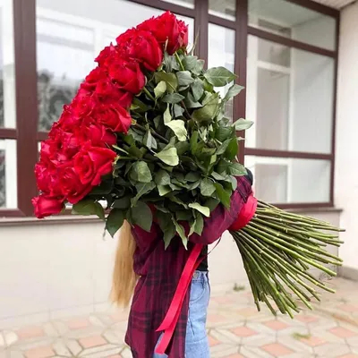 Ослепительное изображение: 101 роза в руках