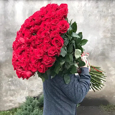 Красивая картинка: 101 роза в руках