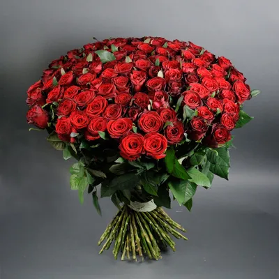 Фото 101 розы в руках: создайте атмосферу романтики