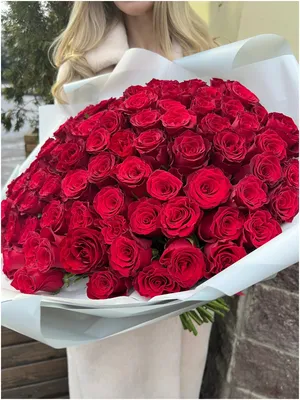 Фотография 101 розы в руках: украшение вашего дня