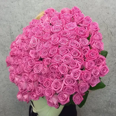 Фото изображение 101 розовой розы: Скачивайте бесплатно
