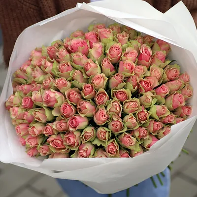 101 розовая роза: Фотка с возможностью выбора формата