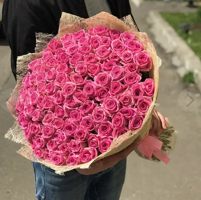 Фото 101 розовой розы: Выберите размер изображения