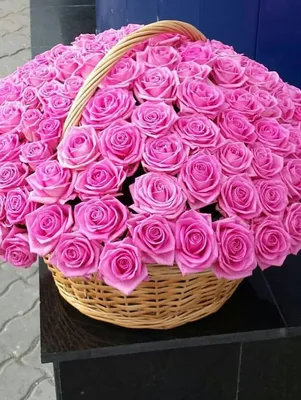 101 розовая роза: Фотография с высоким разрешением