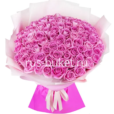 Фото 101 розовой розы: Изображение на выбор размеров