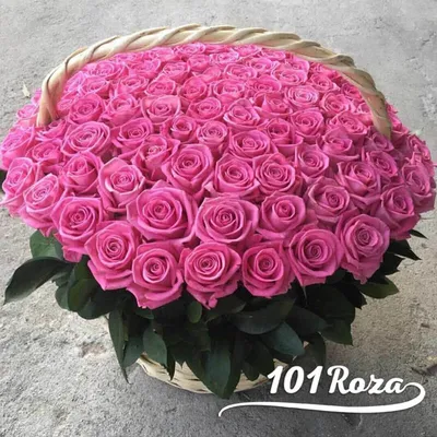 101 розовая роза: Картинка в различных форматах для скачивания