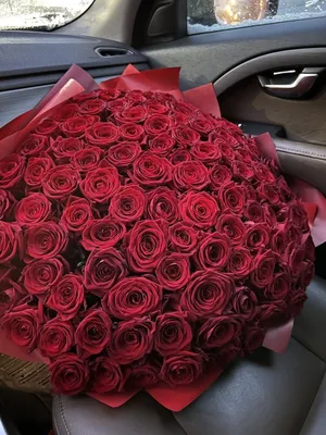 101 розовая роза: Фотография высокого качества с выбором размера