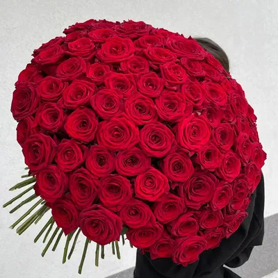Изображение розы: 101 розовая роза в формате jpg