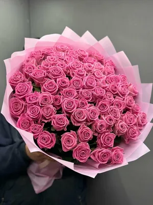 101 розовая роза: Фотография высокого разрешения с выбором размера