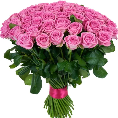 Изображение розы: 101 розовая роза в формате webp