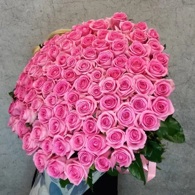 101 розовая роза: Высококачественная фотография