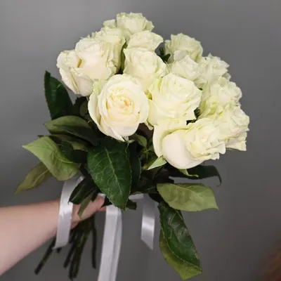 Романтические фото роз с возможностью выбора формата и размера