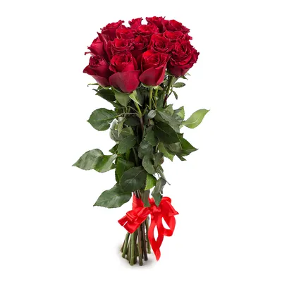 Изображение красной розы с возможностью выбора формата
