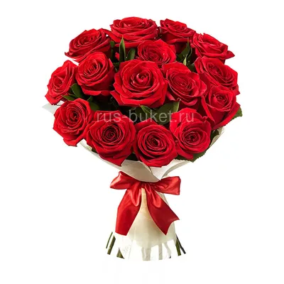 Изображение красных роз с возможностью скачать в webp