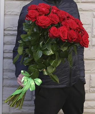 Фото свежих красных роз на однотонном фоне
